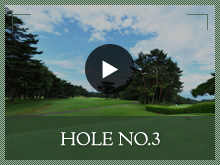 HOLE NO.3