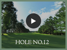 HOLE NO.3